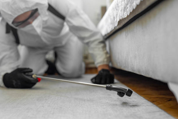Professional Termite Control technician working in Tyhee, ID