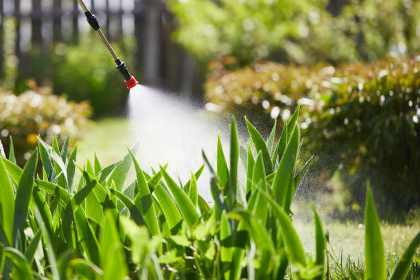 24/7 Emergency Termite Control experts in Tyhee, ID